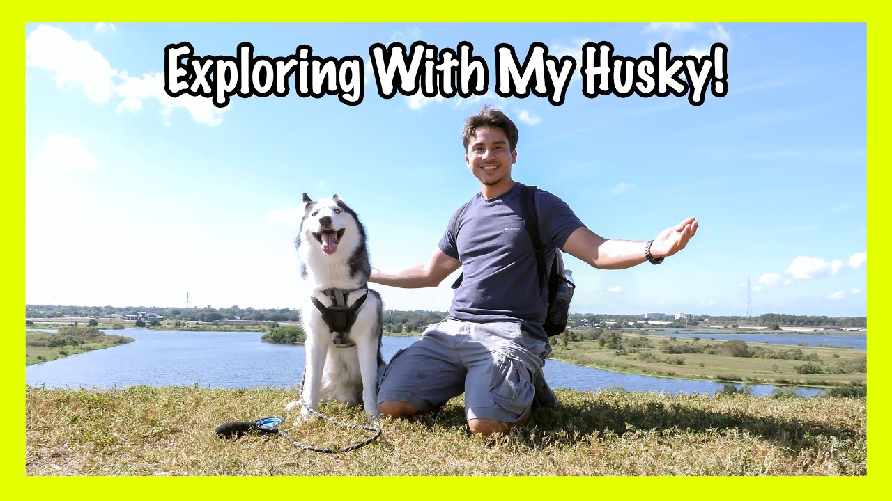 Exploring A Walking Trail With My Dog