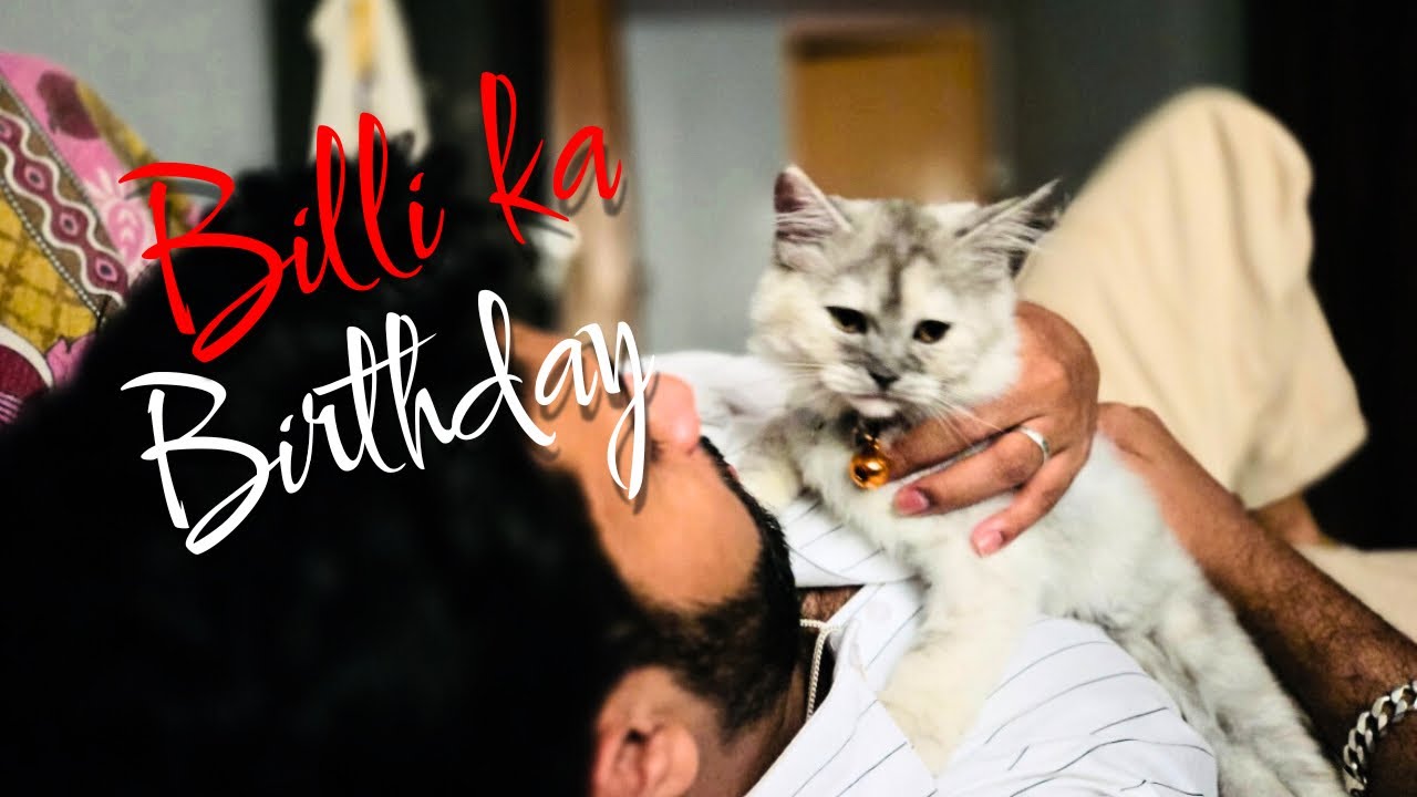 Billi ka birthday 