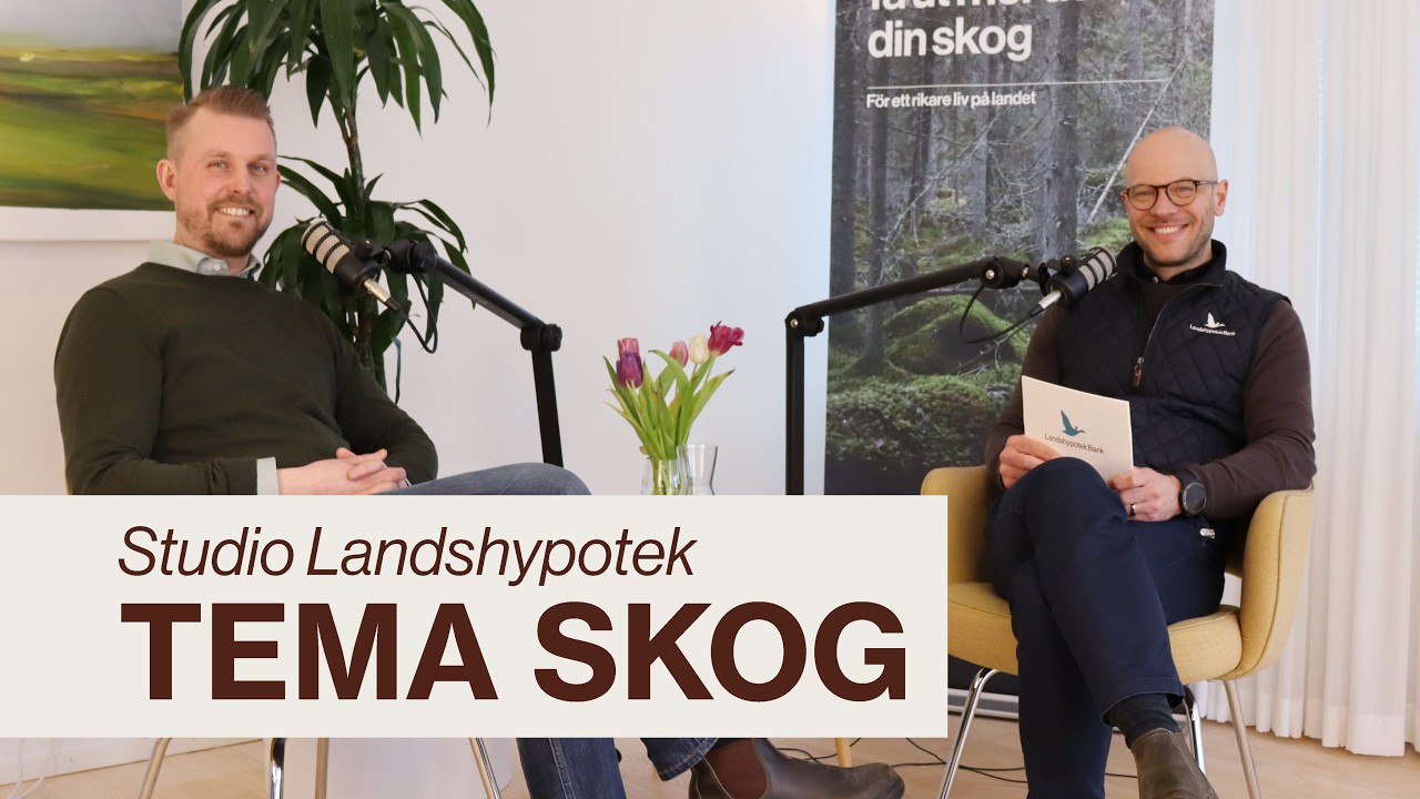 Studio Landshypotek | Om virkespriser, stormen Johannes, skogskonto och deklarationstider