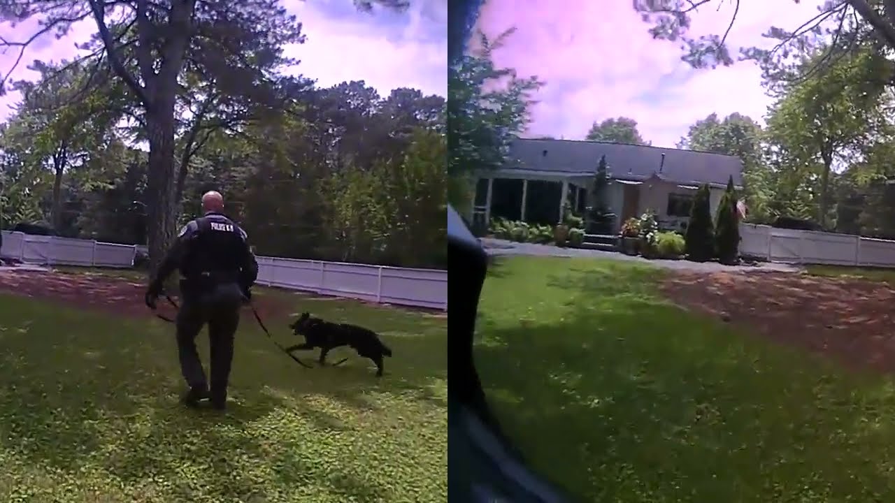 K9 Frummel Tracks Down Fleeing Suspect