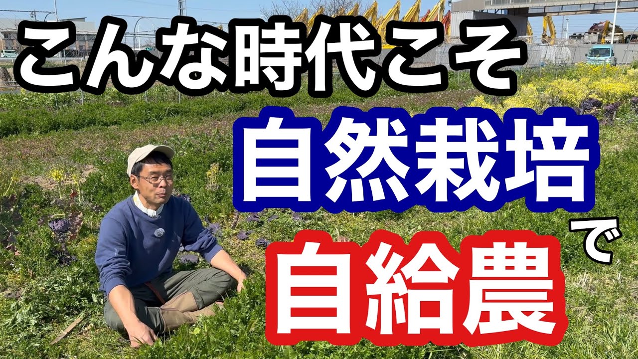 【私が自然栽培をやる理由】無農薬無肥料で自給が出来ると食料危機の備えになる《家庭菜園/農業》