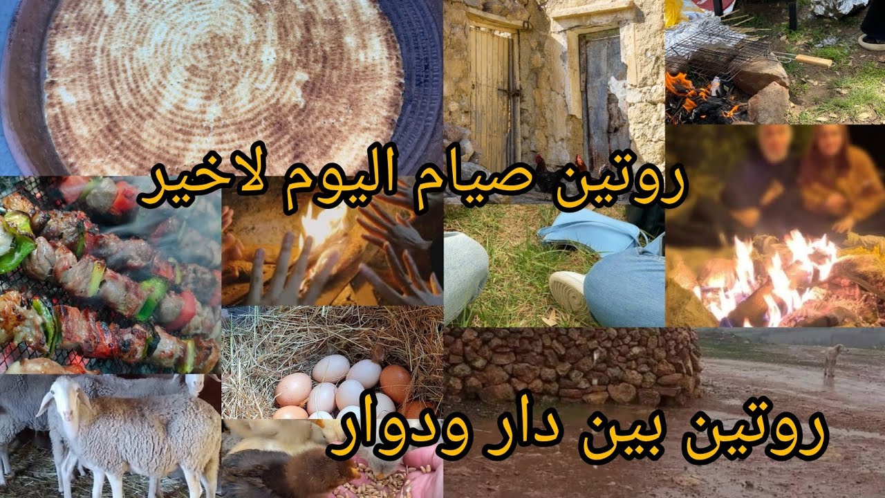 نهاد الشاوية/روتين متنوع من دار لدوار مع صيام/أجواء جمال الطبيعة 