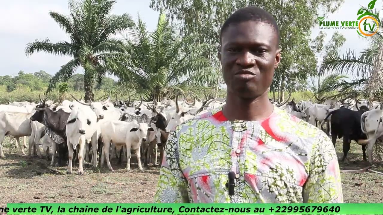 Atelier préliminaire du Projet d'intensification de l'élevage de bovins endogènes en Afrique