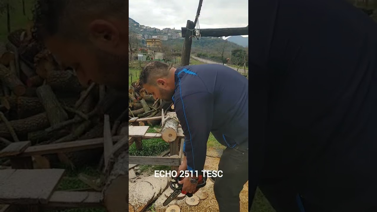 STIHL 151 tc e vs ECHO 2511 tesc vs BLUE BIRD thcs 2207