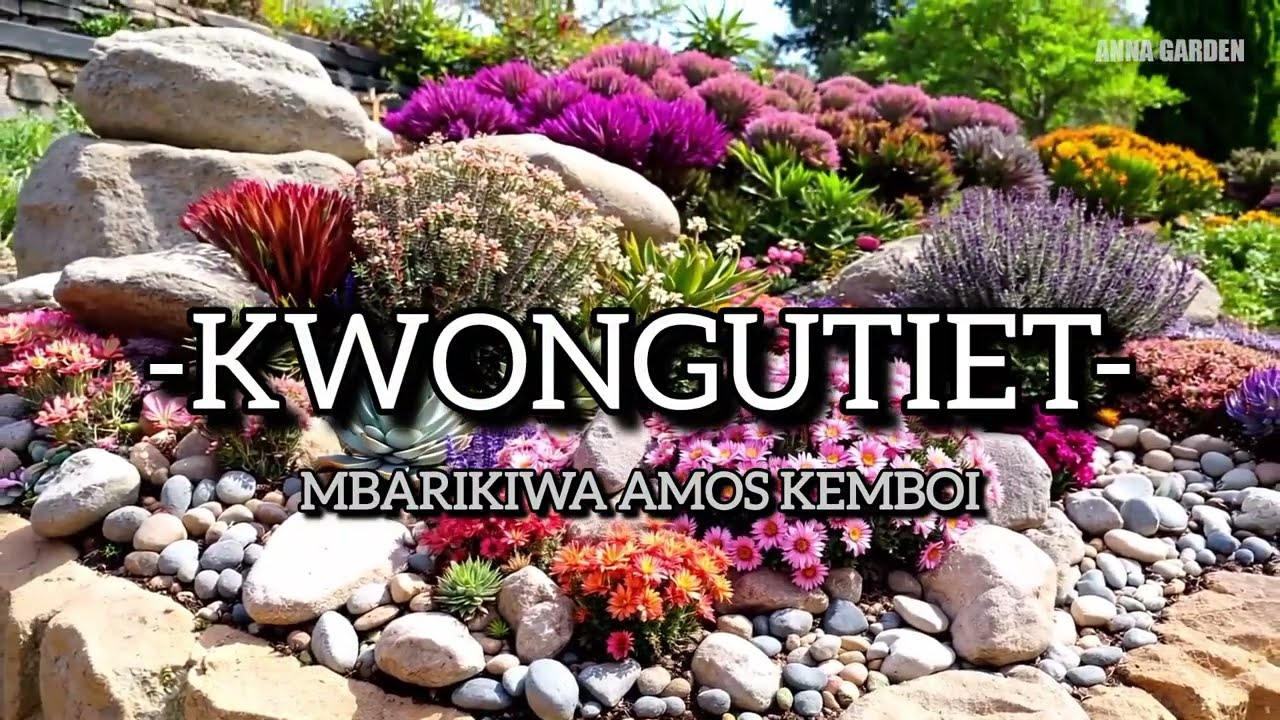 KWONGUTIET- BY MBARIKIWA AMOS KEMBOI 