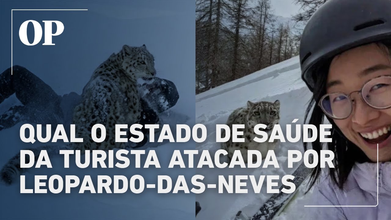 Saiba qual o estado de saúde da turista que foi atacada por um leopardo-das-neves na China