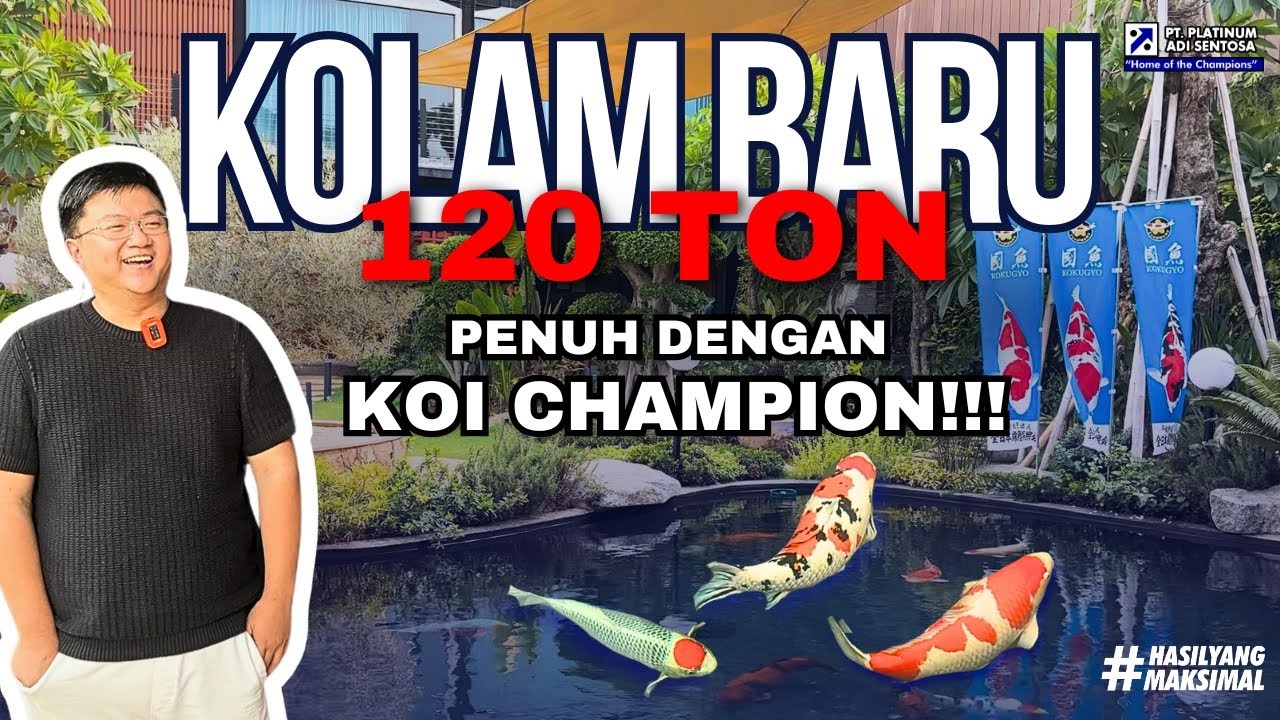 THE REAL PENGHOBI KOI SULTAN!! MASIH MUDA UDAH PUNYA KOI GRAND CHAMPION & KOLAM 120 TON!!