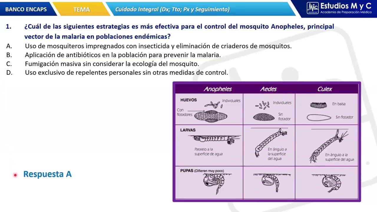 Preguntas ENCAPS SERUMS 2026 ⚠️ Cuidado Integral PARTE 3  | Banqueo BrainMed