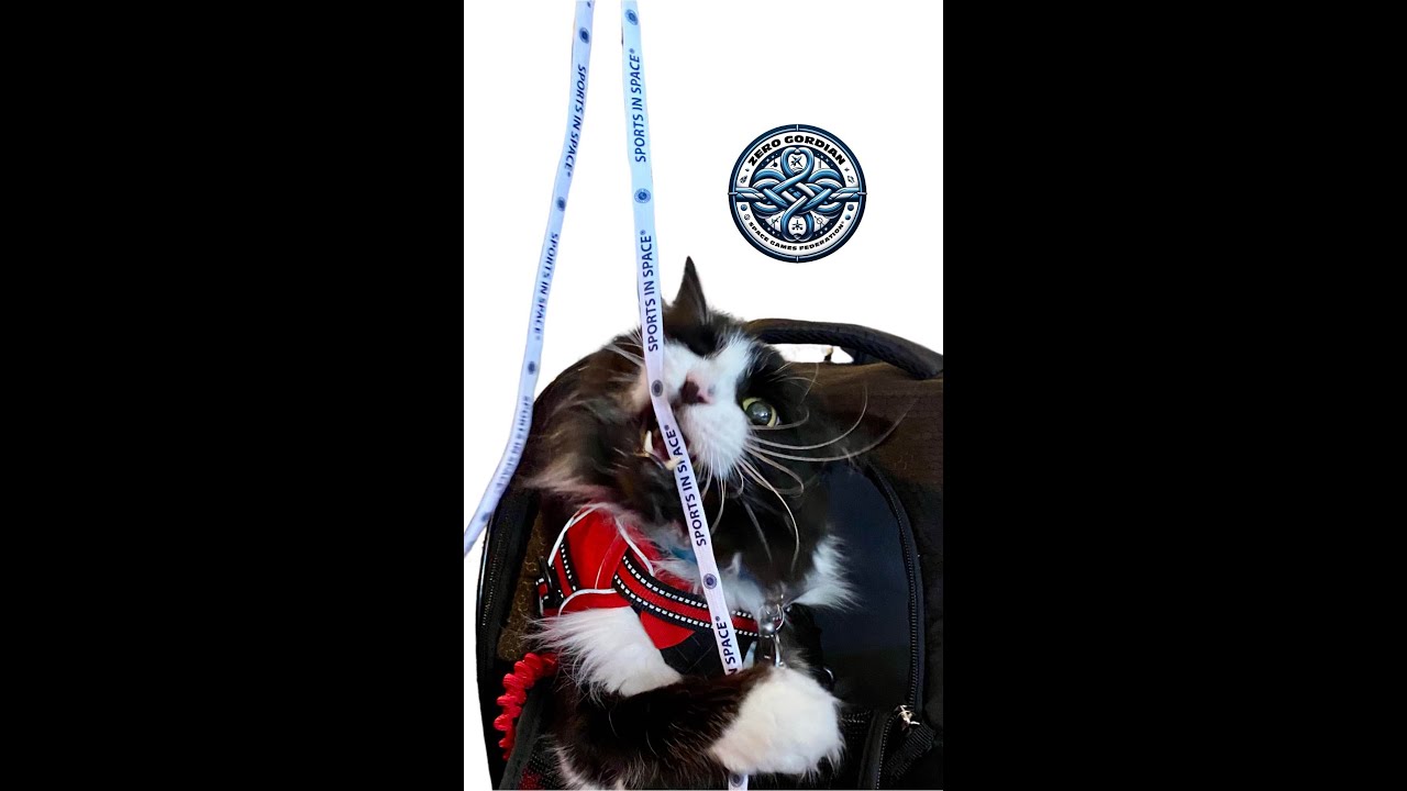TZG Cats Paw