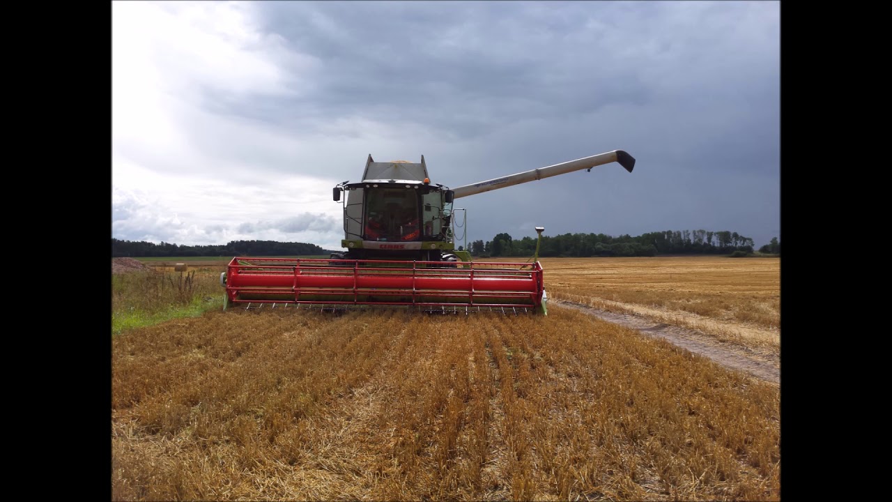 Harvest season [2017] Kombainiera sezona 2017 (Bilžu video!)