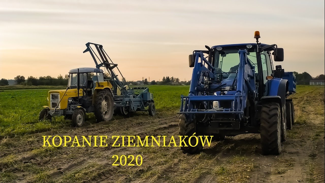 ✔☆Mokre Kopanie Ziemniaków ☆ 2020 ☆ Ursus ☆ New Holland ☆ Karlik ☆✔