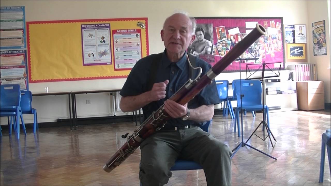 A beginner's guide to the bassoon