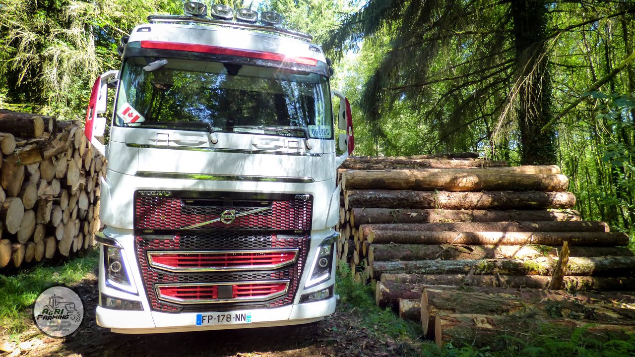 🚚💨 VOLVO 650 FH16 : 🌲GRUMIER | TransArgoat
