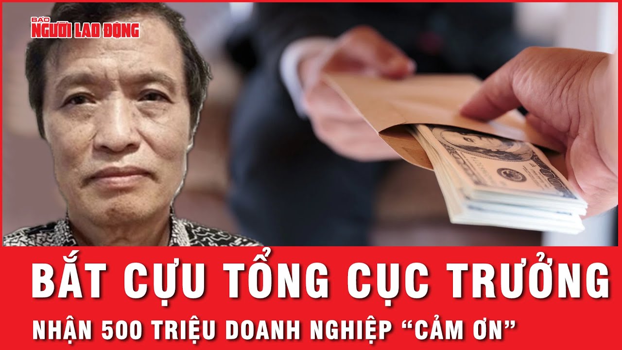 Cựu Tổng Cục trưởng nhận 500 triệu 'cảm ơn' của doanh nghiệp đất hiếm | Tin thế giới
