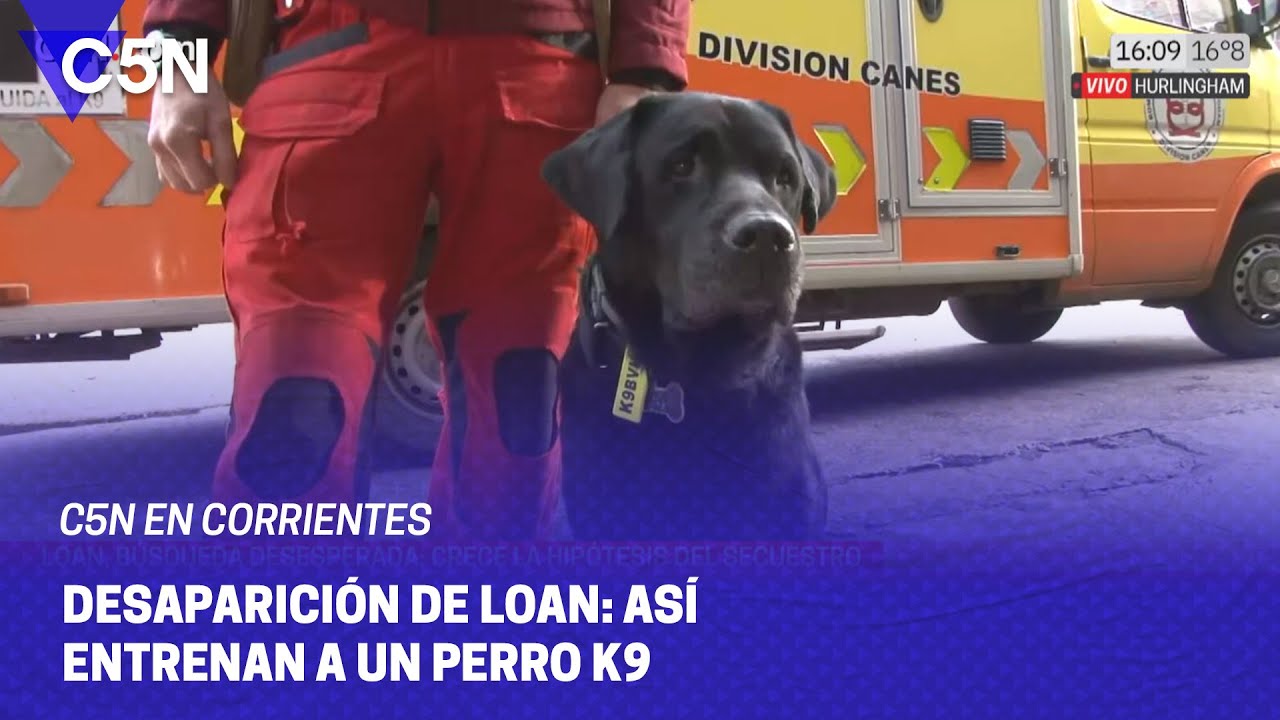 LOAN, búsqueda DESESPERADA: así entrenan a un PERRO K9, clave en la INVESTIGACIÓN