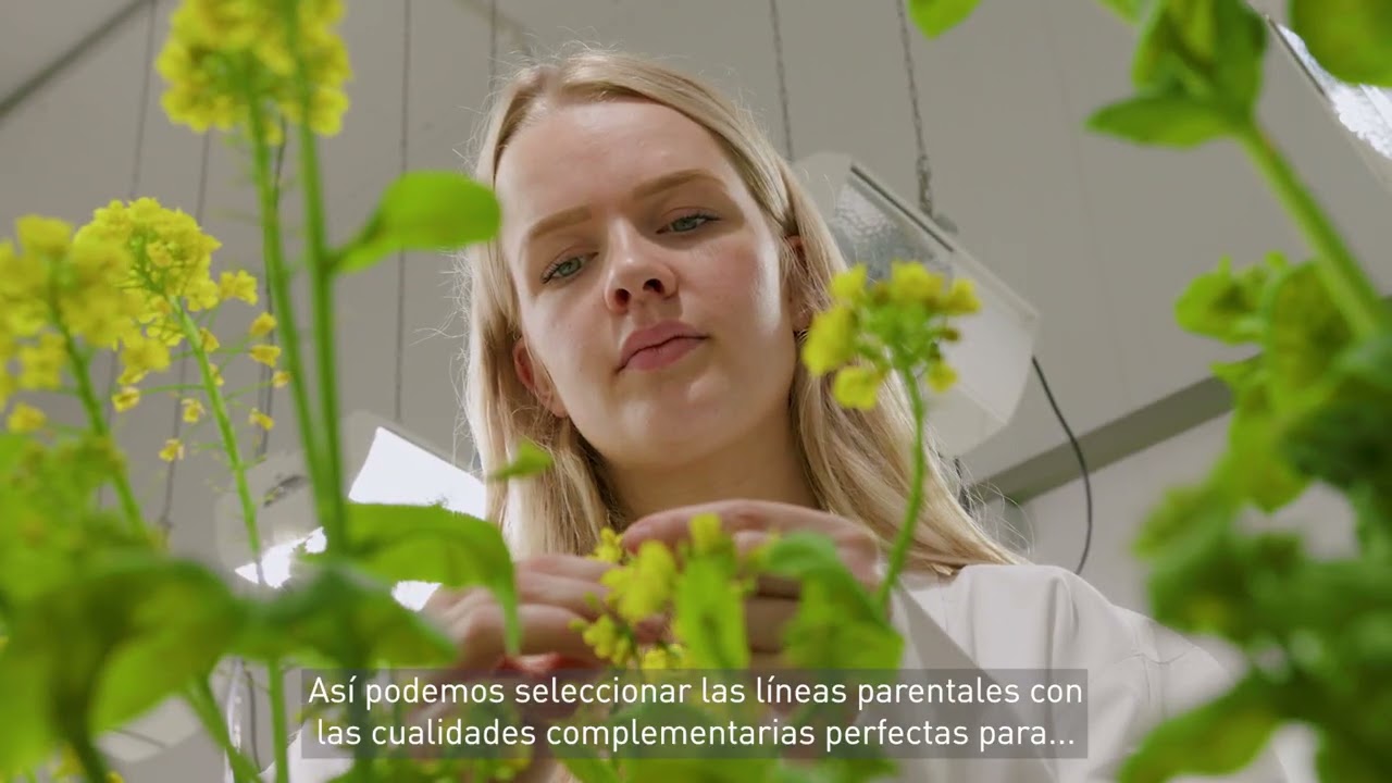 Ecológico desde el principio