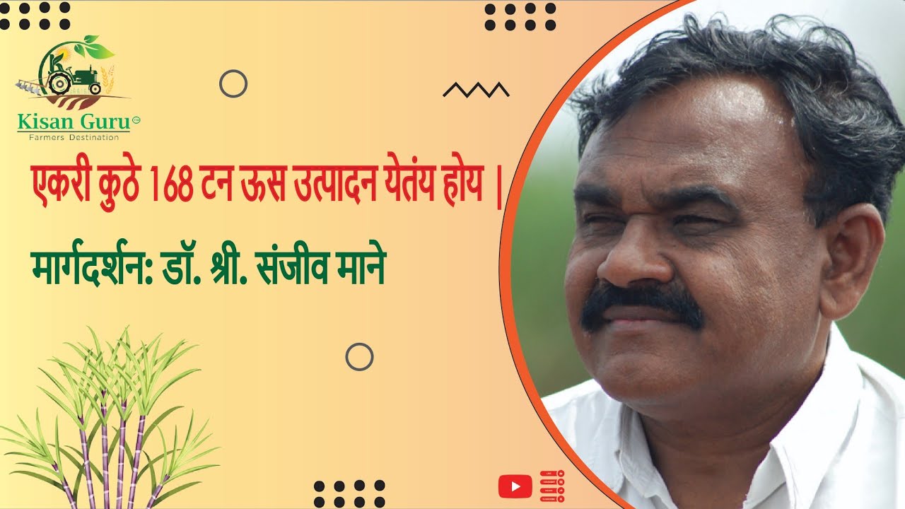 एकरी 168 टन ऊस उत्पादन | कृषिरत्न संजीव माने | लोकमंगल शुगर ऊस पीक परिसंवाद #kisanguru #agriculture