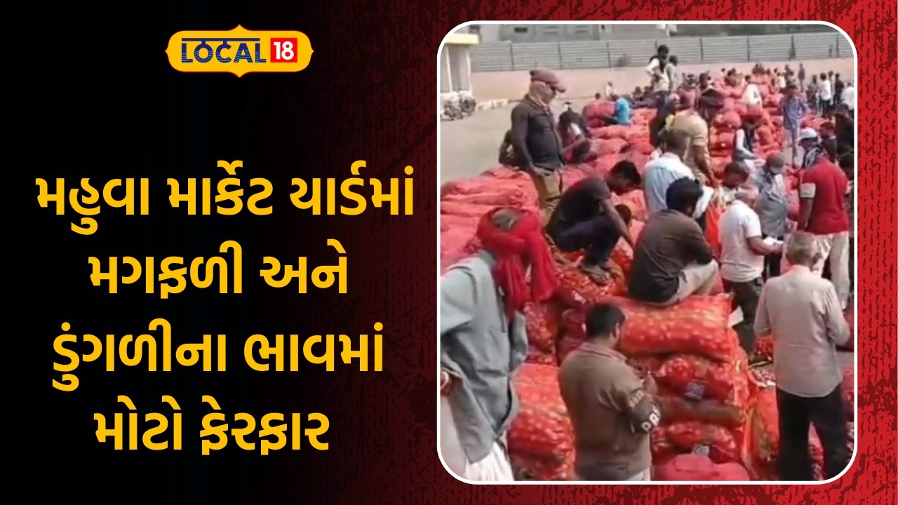 Bhavnagar Market Yard | મહુવા માર્કેટ યાર્ડમાં મગફળી અને ડુંગળીના ભાવમાં મોટો ફેરફાર | Local18