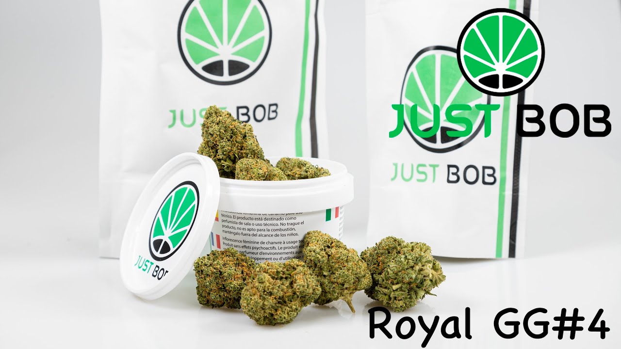 Royal GG#4 CBD - Cogollos CBD - JustBob SPA