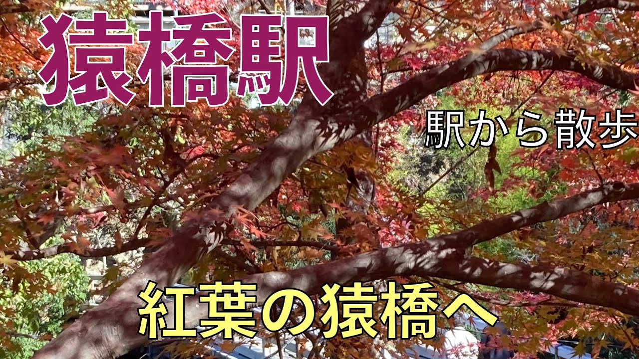紅葉の猿橋へ【駅から散歩・猿橋駅】