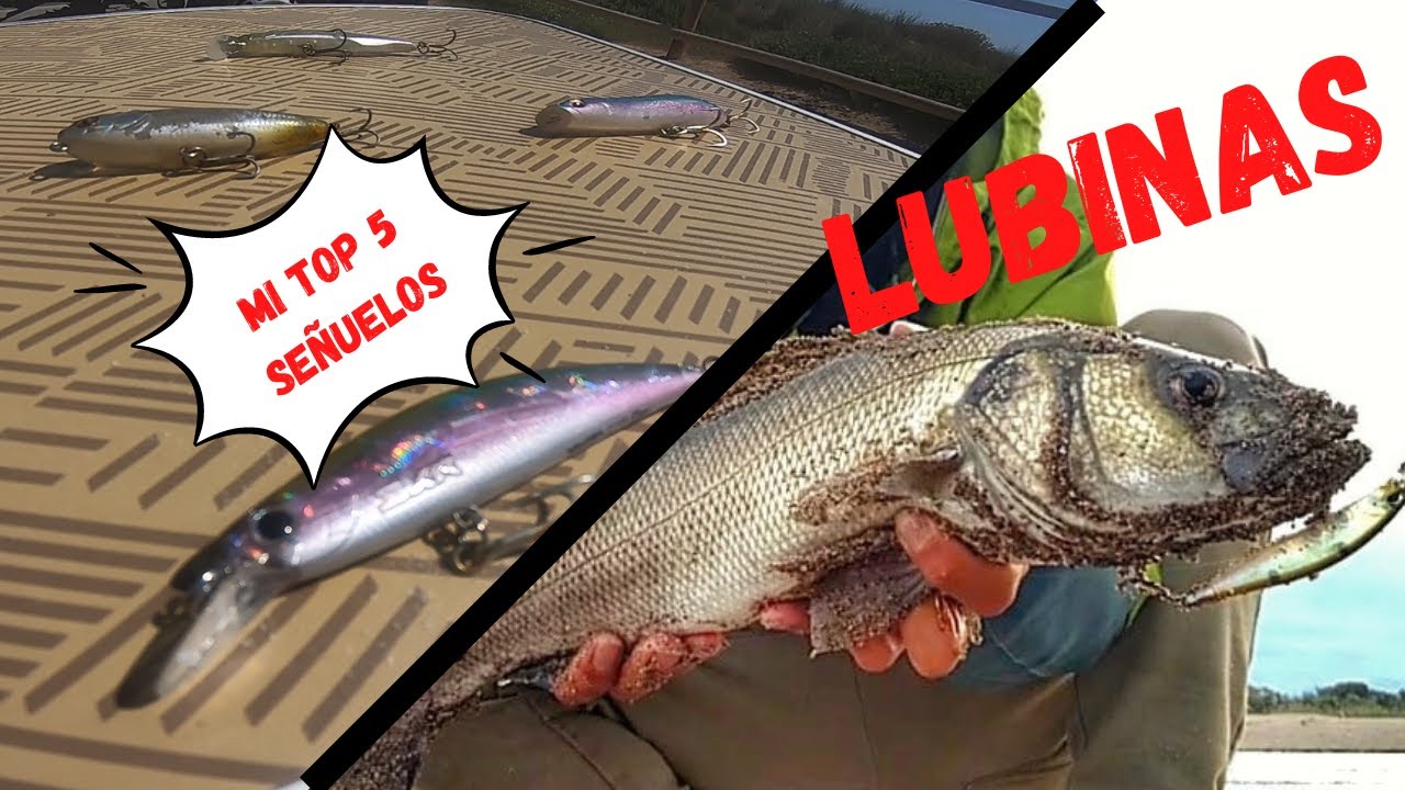 Mis 5 Señuelos TOP para LUBINA desde Playa || Pesca Costa Brava || Travel Vlog 4