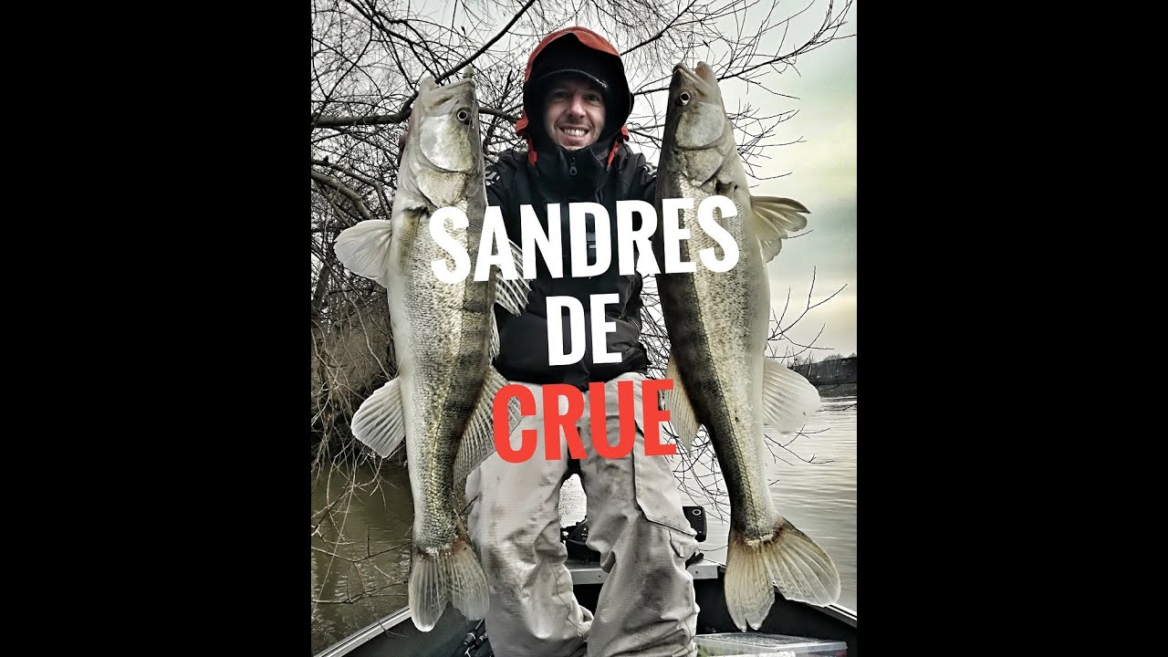 La pêche du SANDRE en période de CRUE