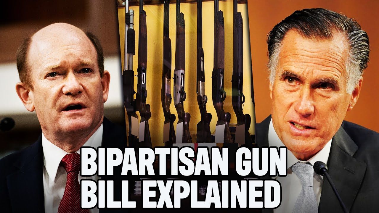 The Senate&rsquo;s Bipartisan Gun Control Bill Lacks REAL Gun Control Solutions