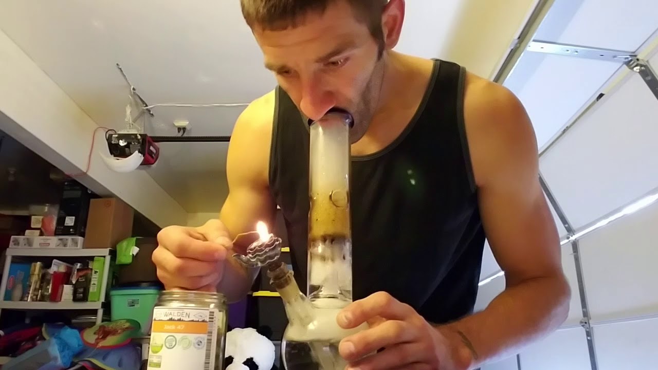 SUNDAY MORNING STRAIN REVIEW : 