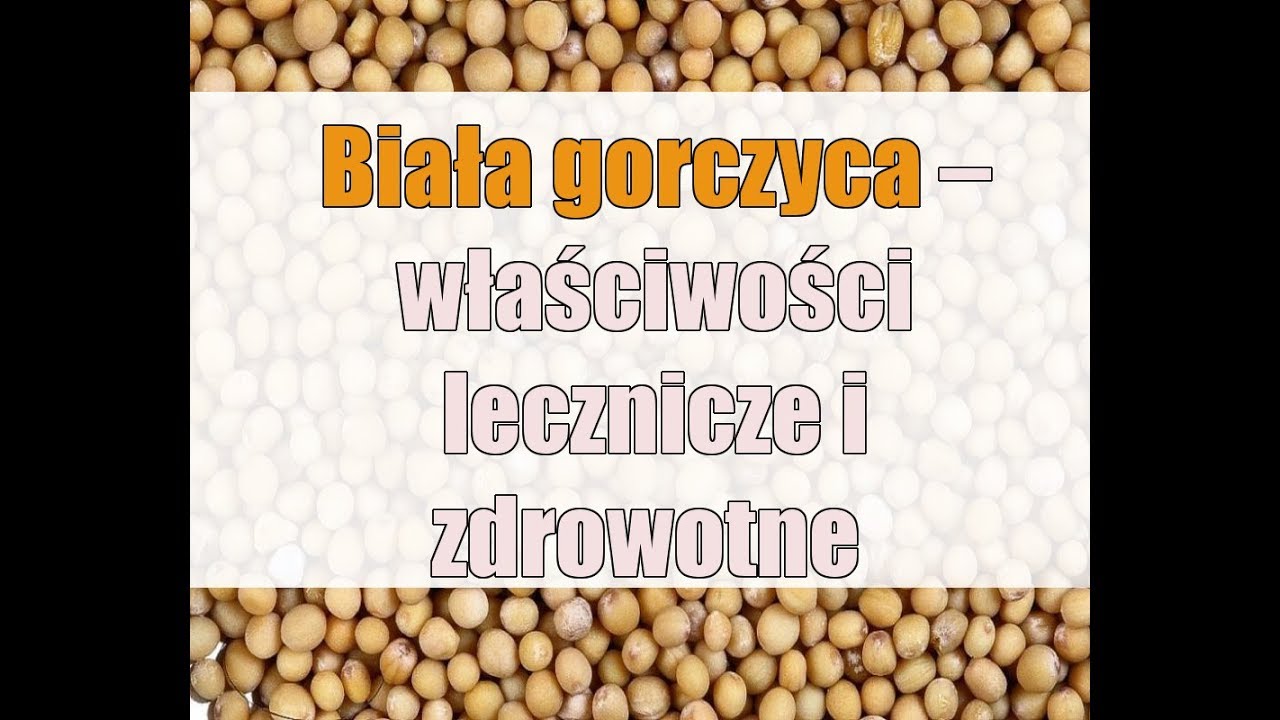 Biała gorczyca &ndash; właściwości lecznicze i zdrowotne