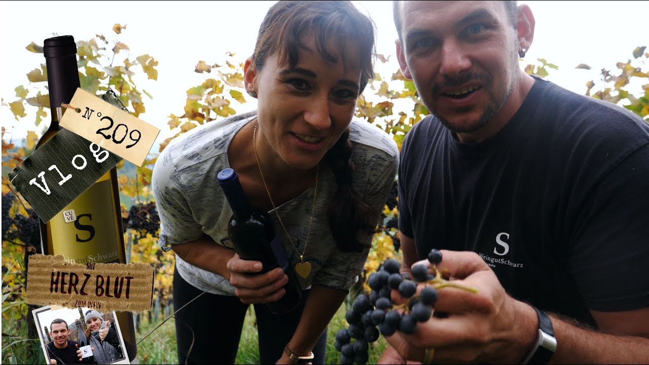 So wird ein guter Rotwein gemacht und wir lüften ein Geheimnis | Weinvlog #209