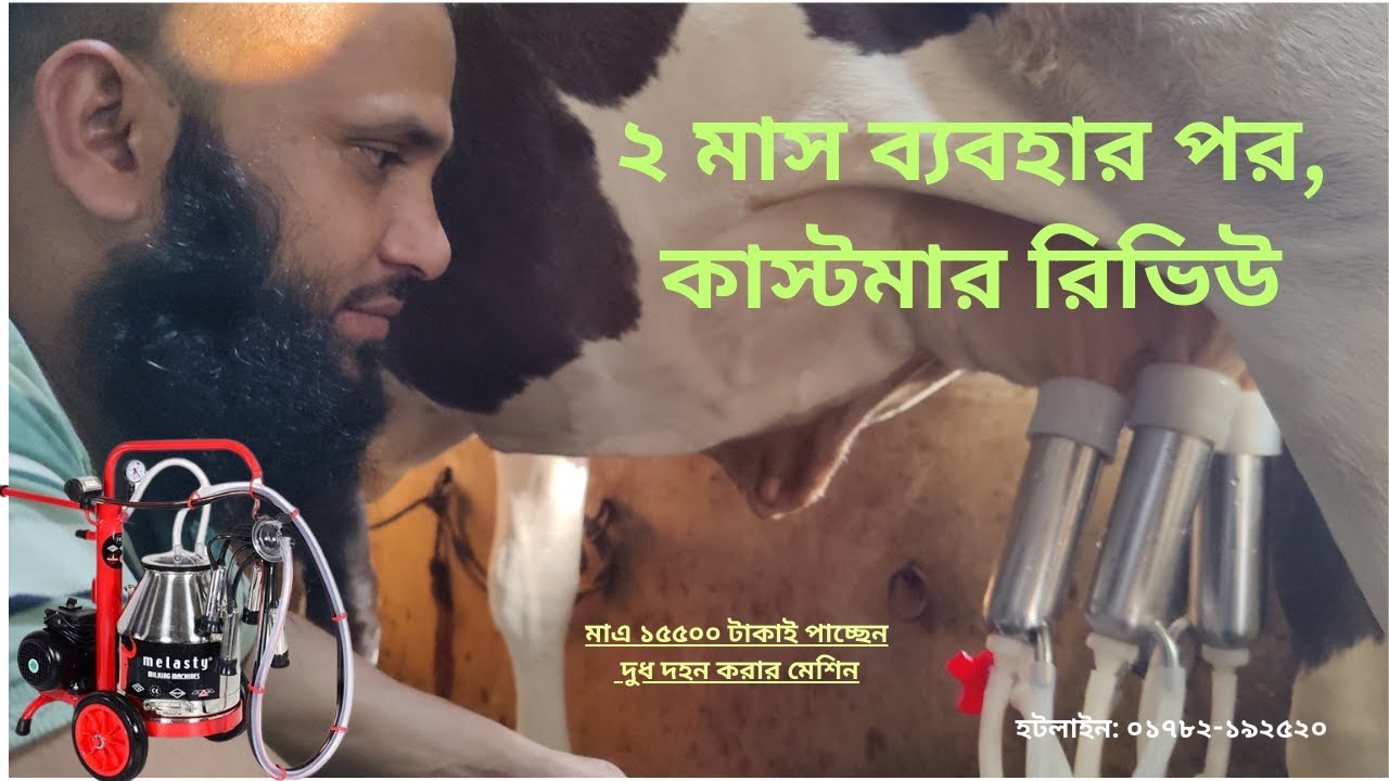 দুধ দহন করার মেশিন সবচেয়ে কম দামে কিভাবে পাবেন?#cow #milkingmachineequipments #agriculture #ams