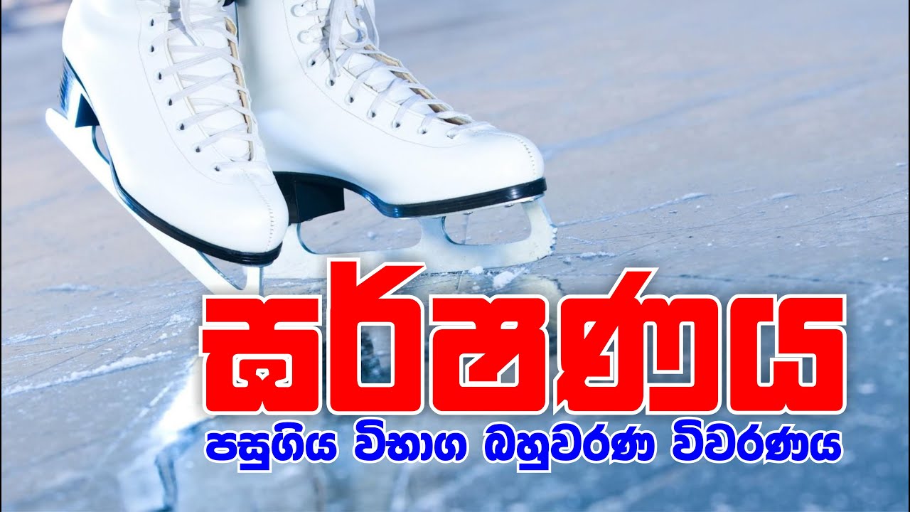 Mahen Jecob | ඝර්ෂණය | පසුගිය විභාග බහුවරණ විවරණය