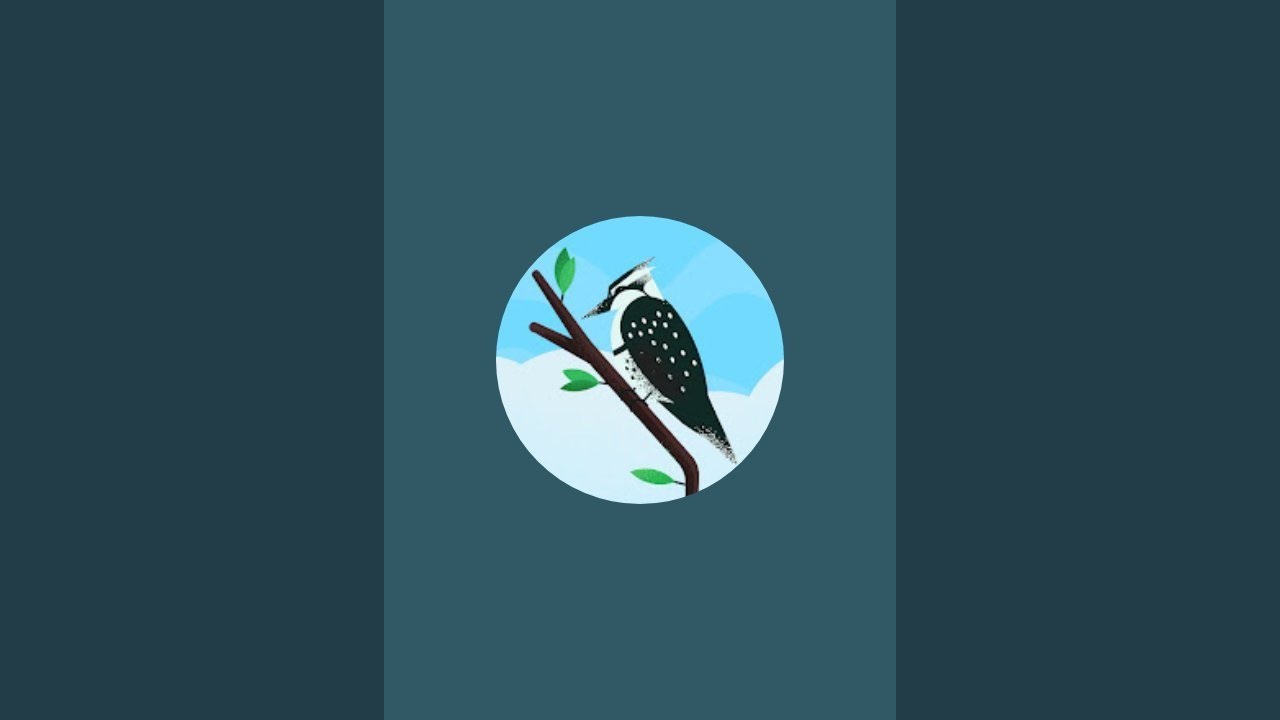 Sushma Patel is live