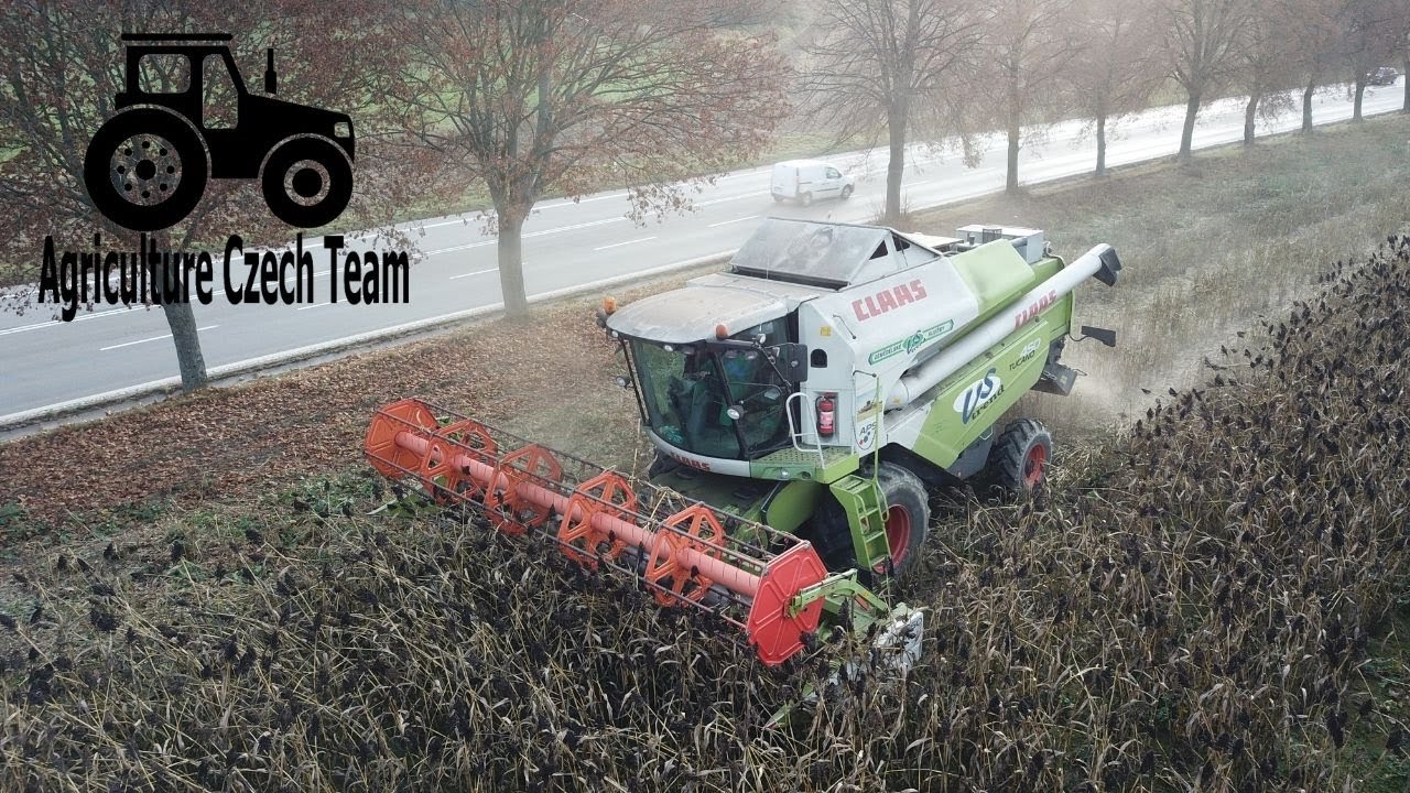 Čirok / Sorghum Claas Tucano 450