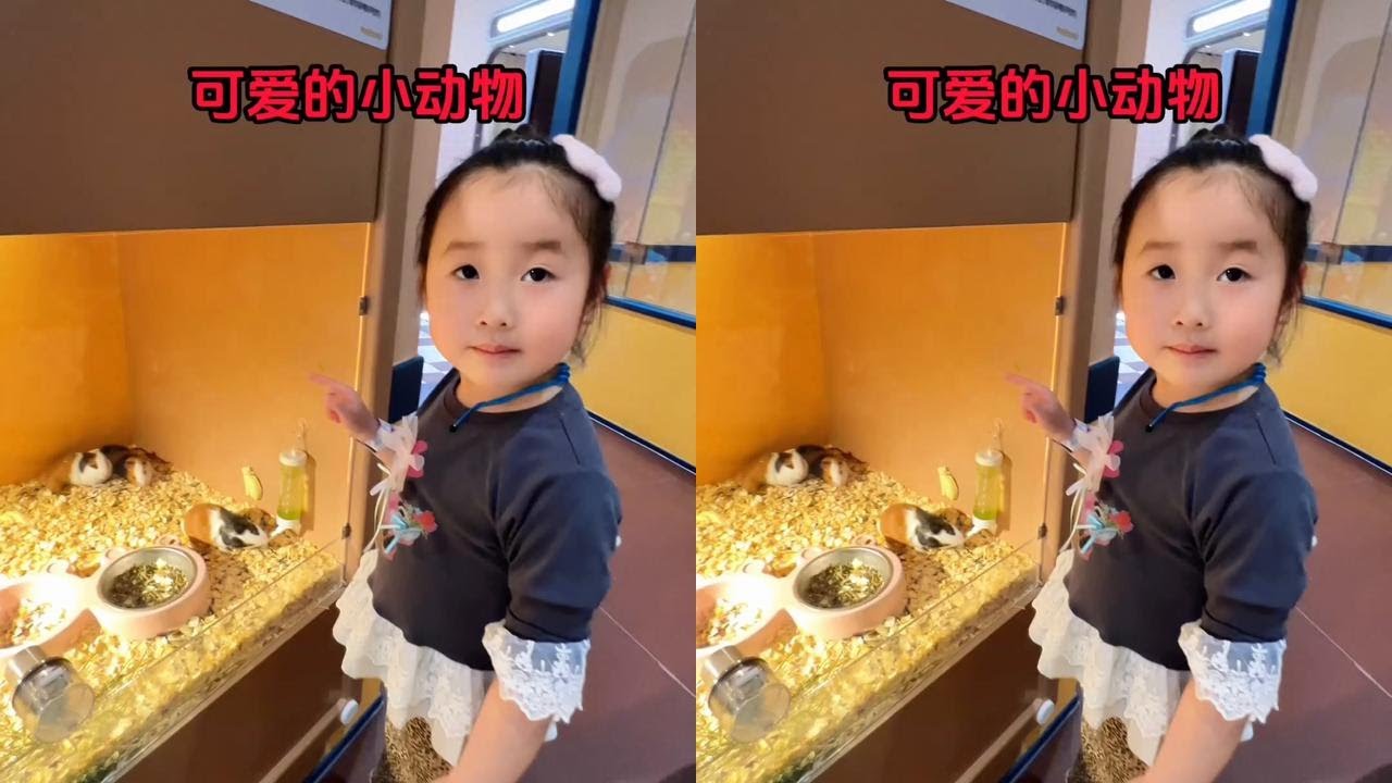 这些可爱的小动物，你们知道叫什么名字吗 #亲子互动 #启蒙早教 #儿童动画#萌娃日常#儿童益智