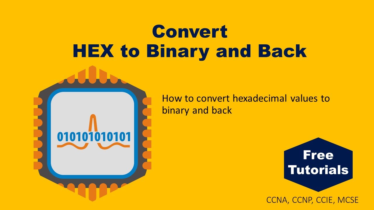 Convert HEX to Binary and Back