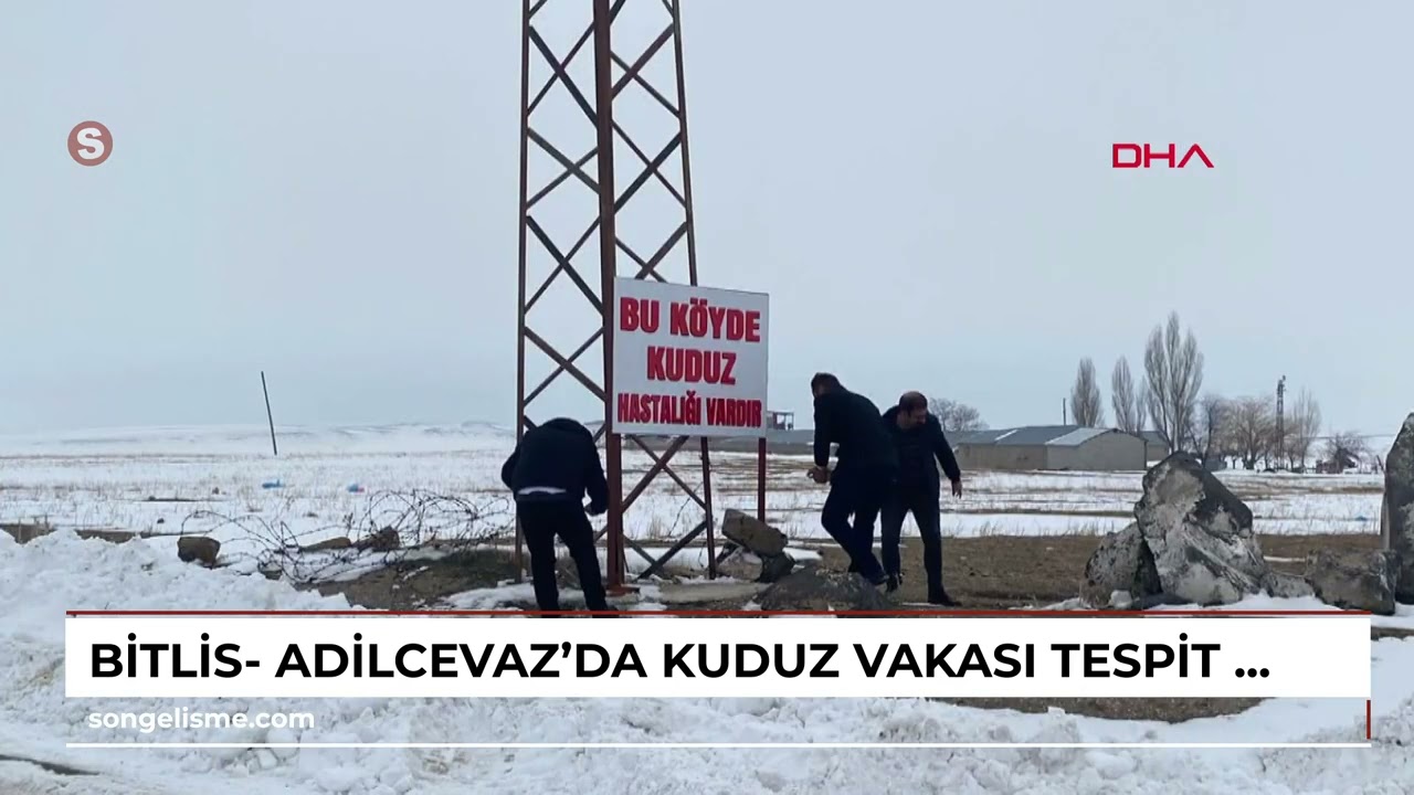 Bitlis- Adilcevaz'da kuduz vakası tespit edilen k&ouml;y, karantinaya alındı