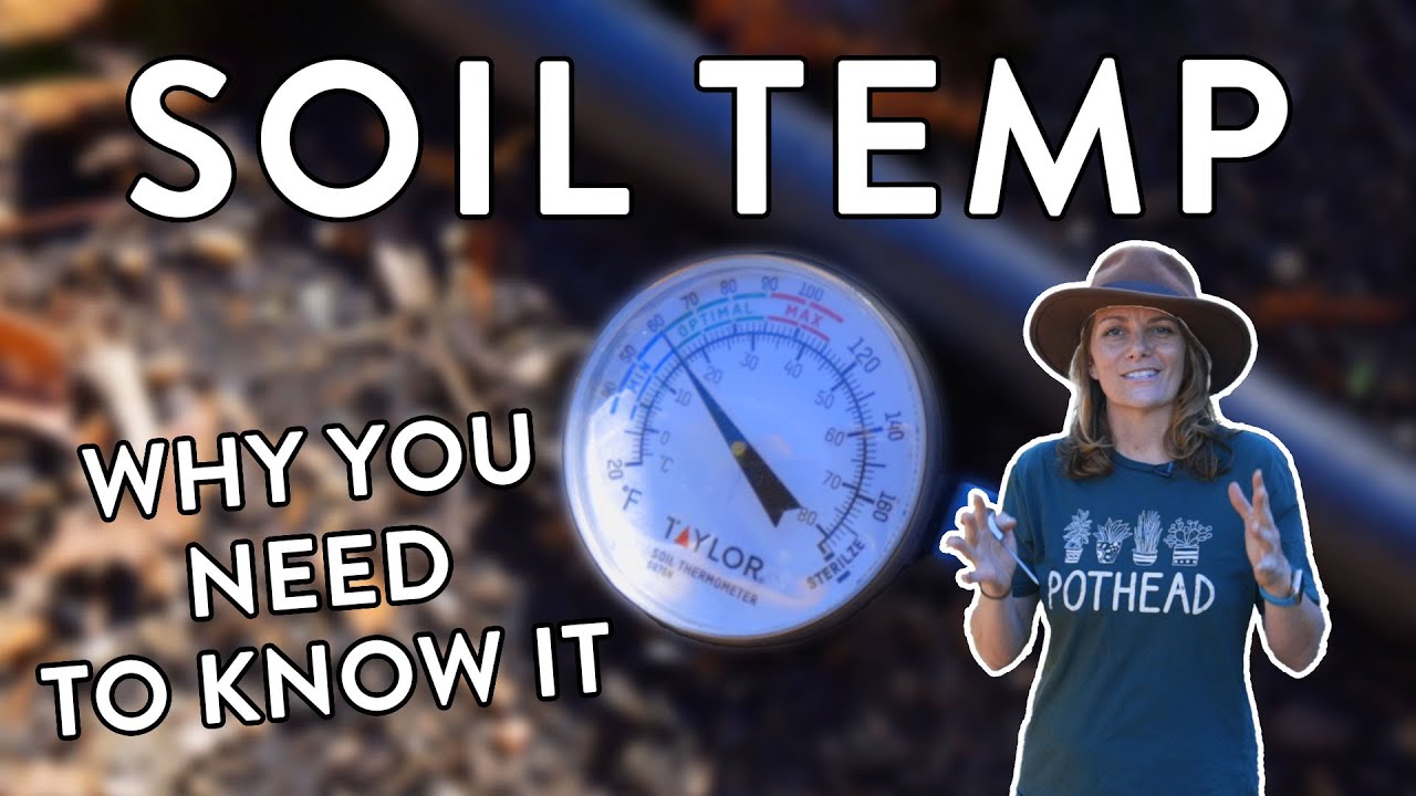 Soil Temperature Secrets: Unlock Your Garden's Full Potential!