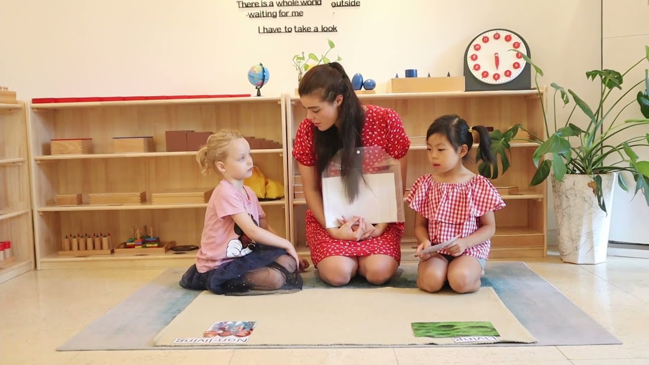 Montessori Living and Non-living