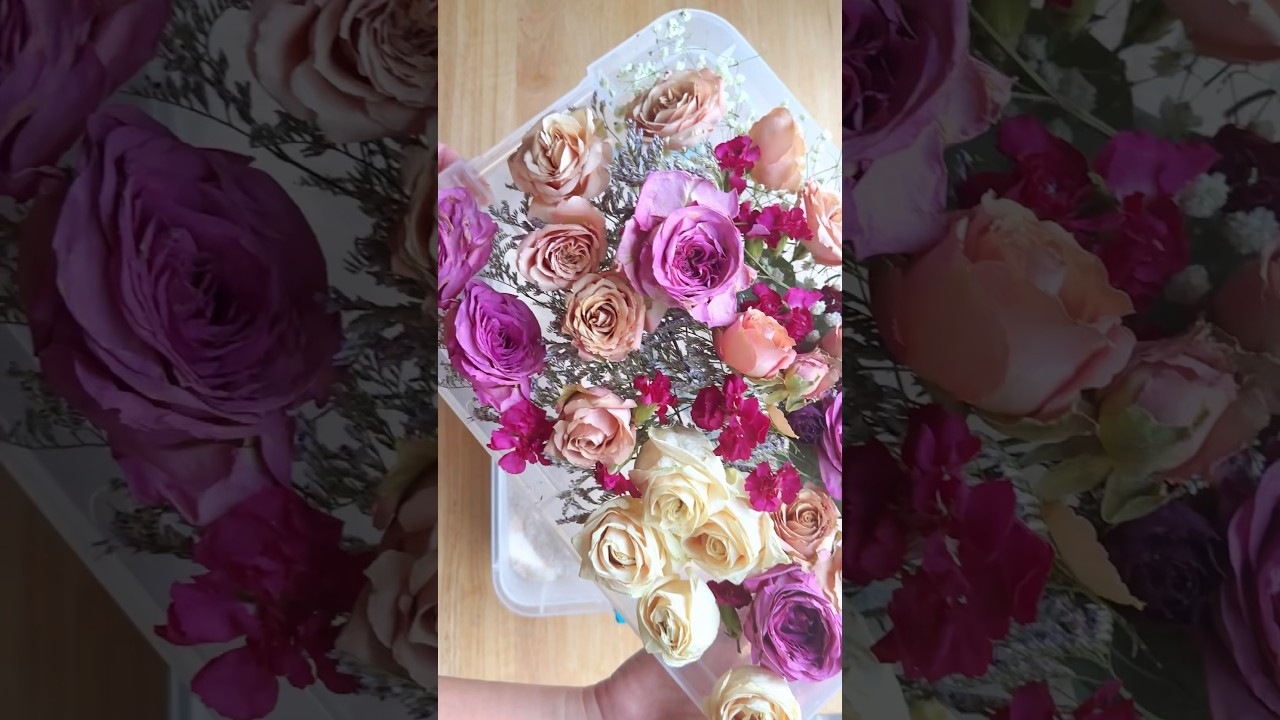 The best way to dry flowers 🌹 #silica #asmr #diy #flowers #driedflowers #resin #art #artist #crafts