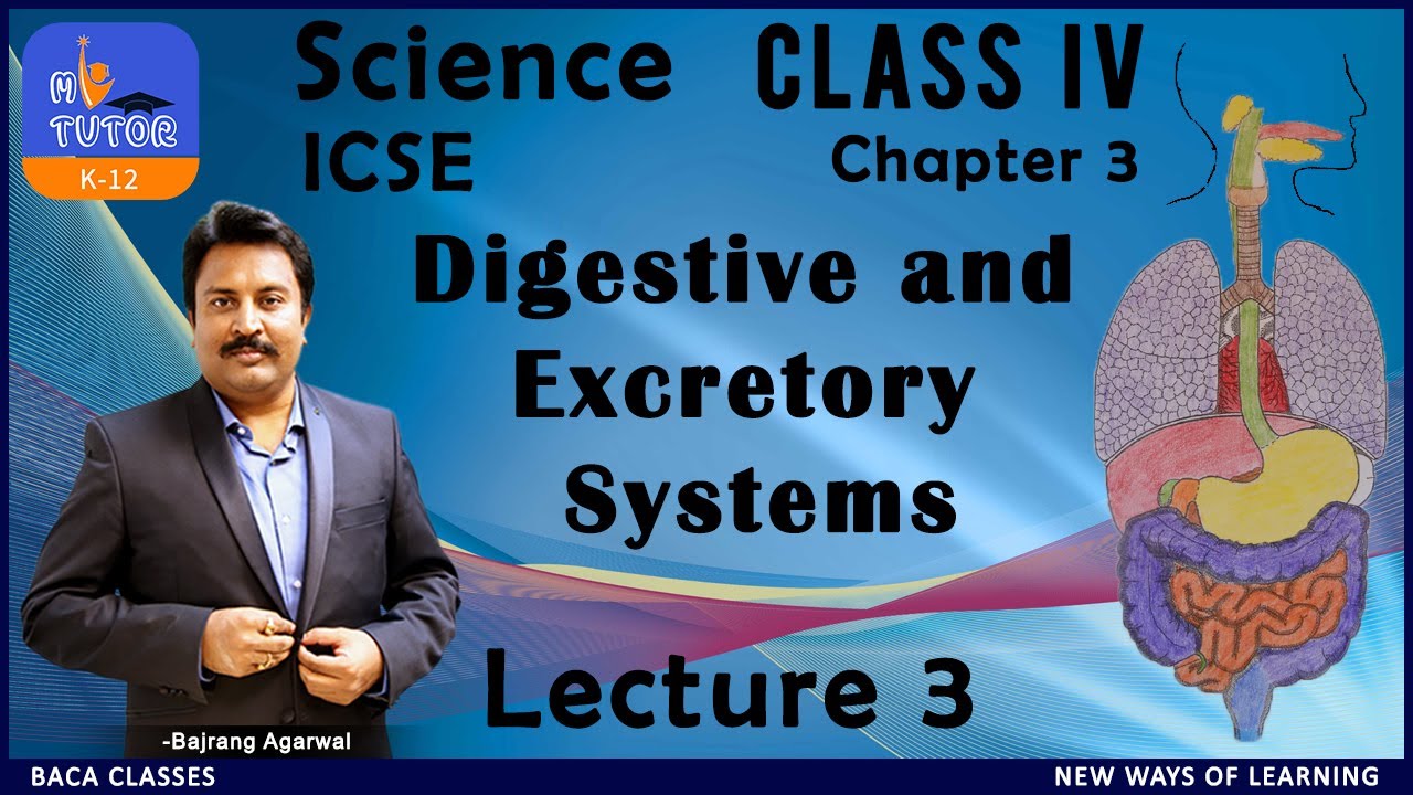 ICSE | Class IV  | Science | Digestive And Excretory Systems | Chapter 3 | Lecture 3