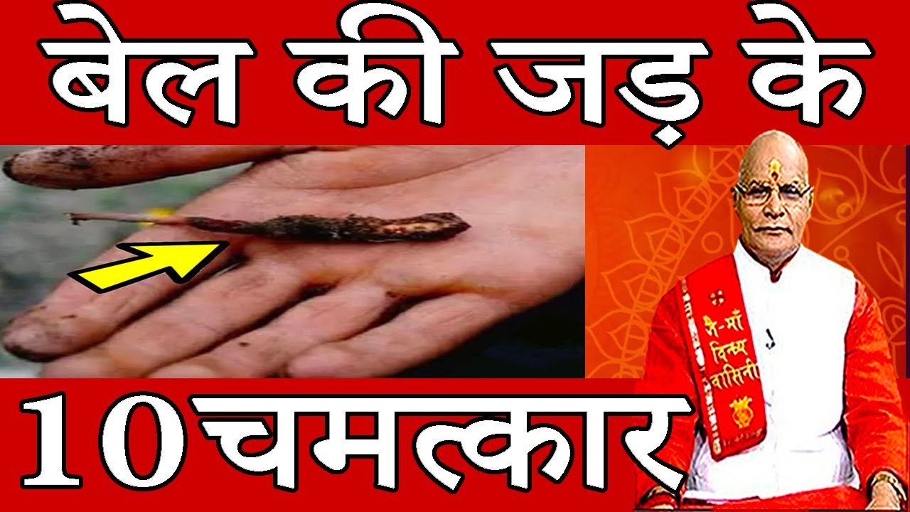 बेल की जड़ पहनने के 10 फायदे | Pandit Suresh Pandey | Darshan24