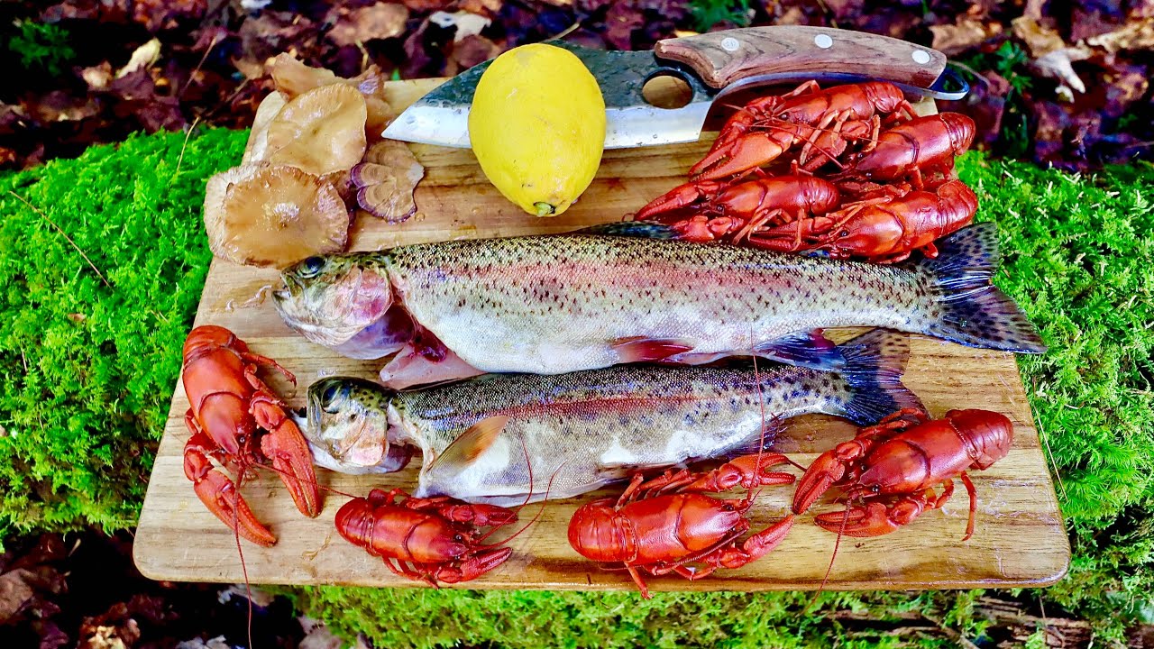 Mountain Foraging- Trout Crawdad Mushroom Catch n' Cook