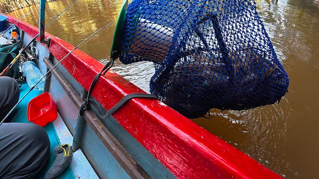 1 hari 1 malam berpetualang memancing udang galah