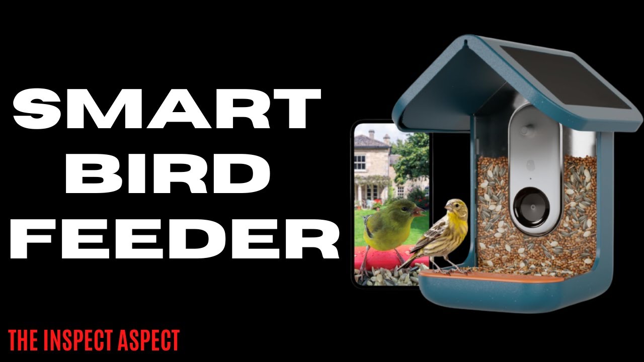BIRD BUDDY&reg; Smart Bird Feeder Review: High-Tech Bird Watching Experience | The Inspect Aspect
