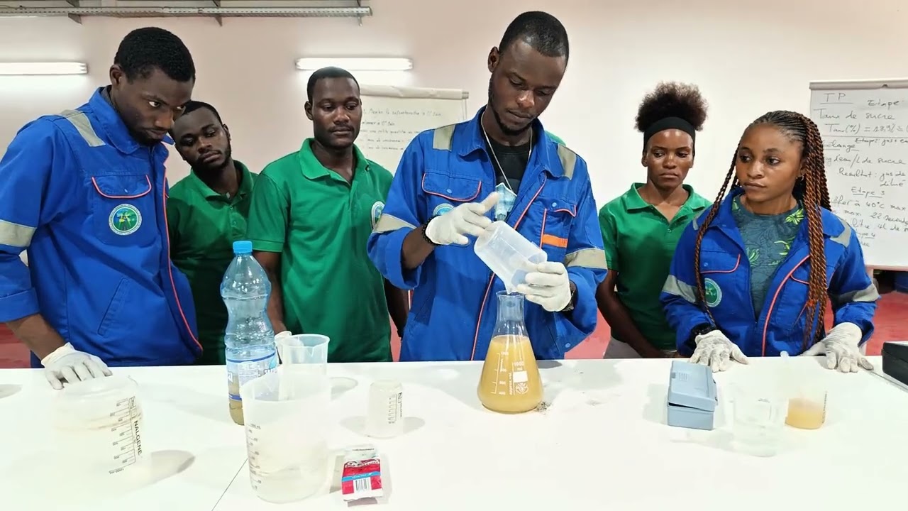 Production du bio essence à partir du saccharose (jus de canne). 
