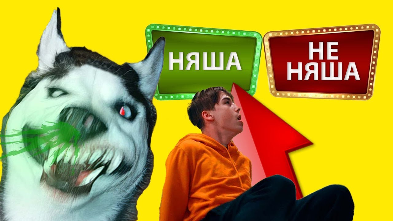 ТЕСТ НА НЯШНОСТЬ И ДРУГИЕ ПРИКОЛЫ! (Хаски Бандит) Говорящая собака