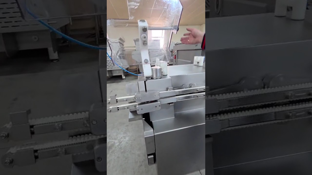 VEMAG FSL 210 - portioning linking and separating line for sausages