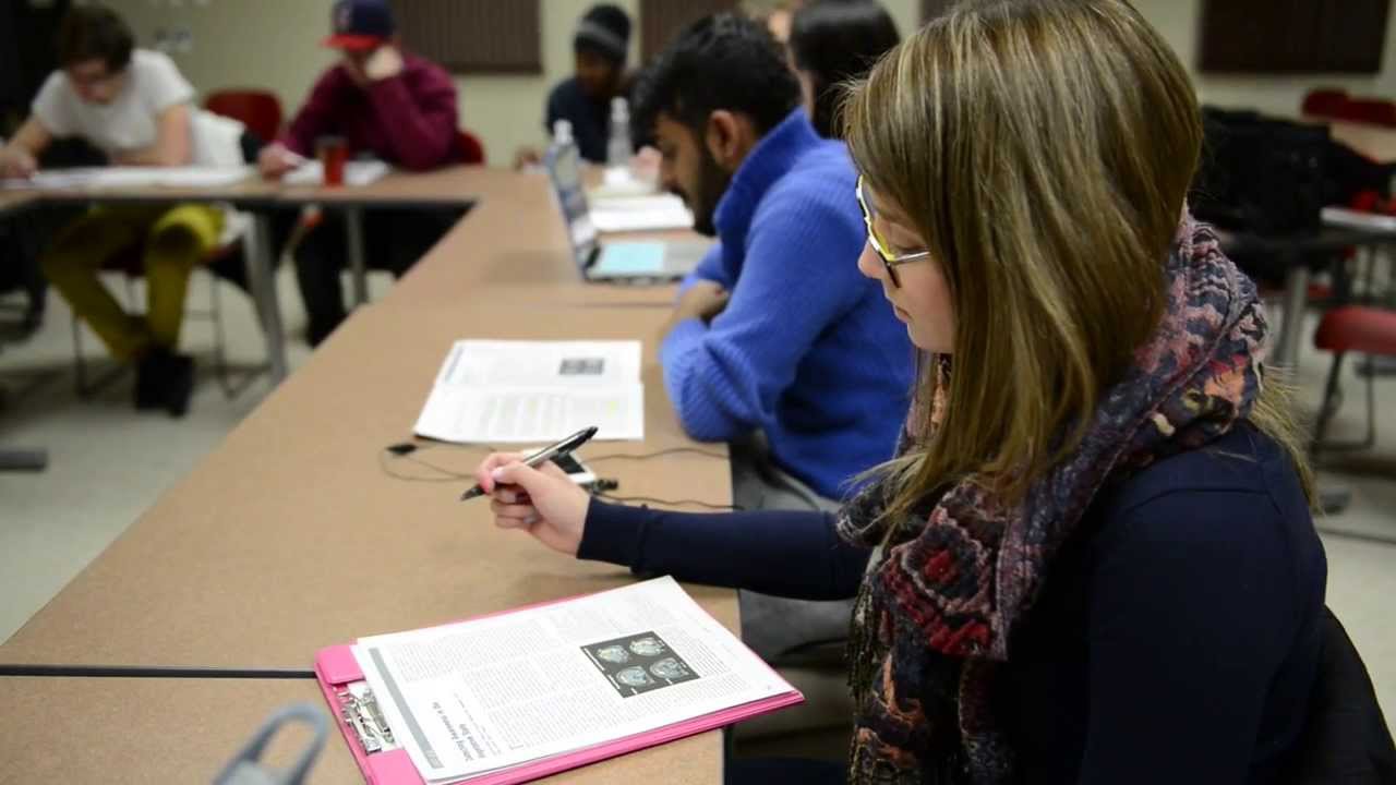 Explore an undergraduate degree in Neuroscience