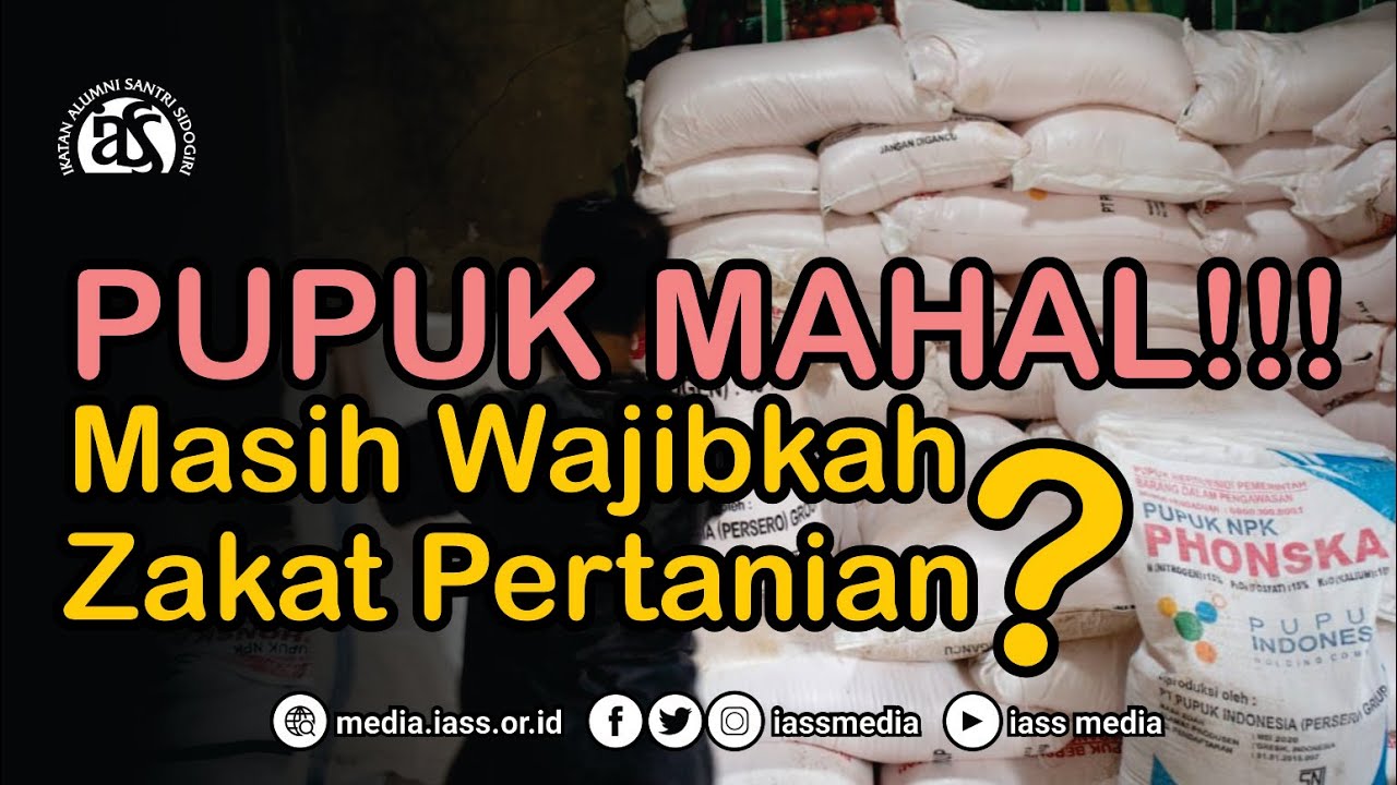 Benarkah Mahalnya Pupuk Jadi Penghalang Wajibnya Zakat Pertanian❓|| Ust. Shofiyyul Muhibbin